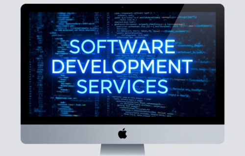 SOFTWARE DEVELOPMENT SERVICES IN USA
